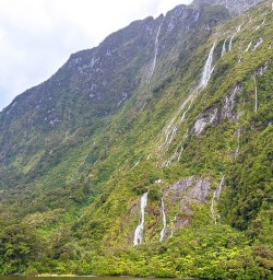 Milford Sound tour with New Zealand Trails