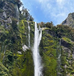 Routeburn Track Cruise Milford Sound 16 December 2024 9