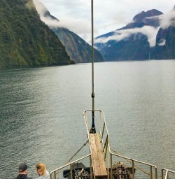 13 Views from the bow on Milford Cruise