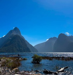 Walking tours in Milford Sound