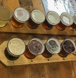 Beers at Valley Brewing Company, Geraldine Canterbury New Zealand