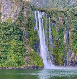 Bowen Falls Milford Sound