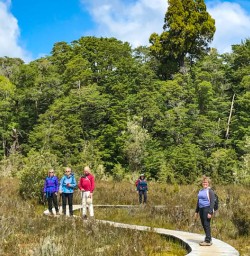 Exploring Fiordland