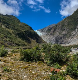 Franz Josef Glacier, West Coast New Zealand