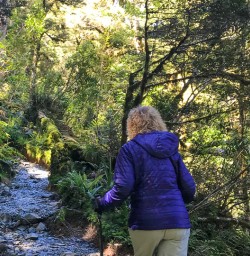 Guest hiking the Routeburn Track