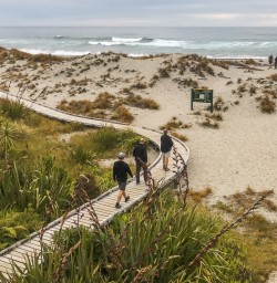Thunder creek, Haast Pass West Coast New Zealand