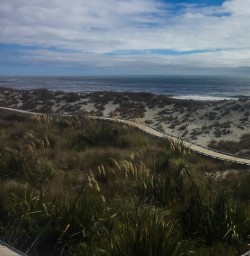 Haast Pass, West Coast New Zealand