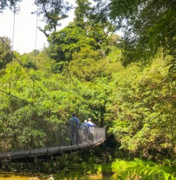 Hiking to Lake Matheson