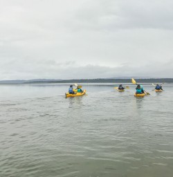 Kayak tour at Okarito Lagoon, West Coast New Zealand