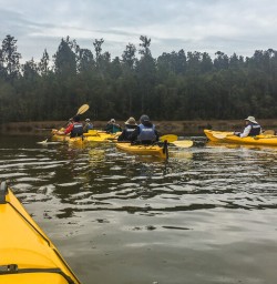 Kayaking at Okarito Lagoon, West Coast New Zealand