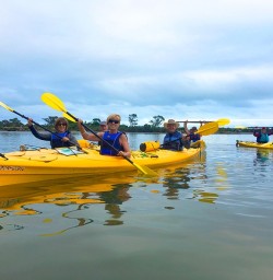Back in the kayaks again. This time in New Zealand's largest marine wetland