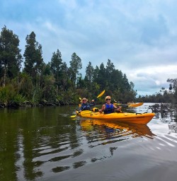 Exploring the Okarito Lagoon
