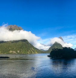 Milford Sound views from boat cruise