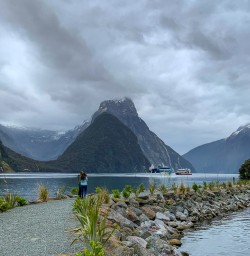Milford sound walkway