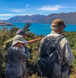 Mou Waho Island, Wanaka Otago New Zealand