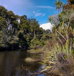 Porarari river, Paparoa National Park West Coast New Zealand