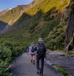Walking at Franz Josef Glacier, West Coast New Zealand