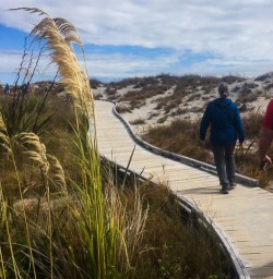 Walking at Ship Creek at Haast Pass, West Coast New Zealand
