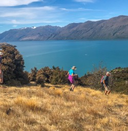 Walking at Mou Waho Island, Wanaka Otago New Zealand