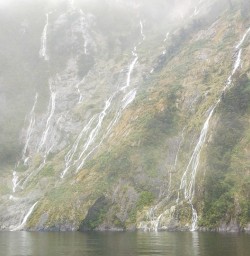 Waterfalls in Milford Sound