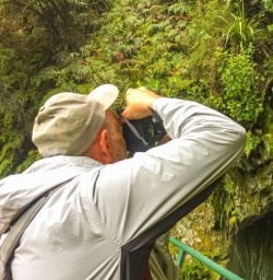 13. Routeburn Track