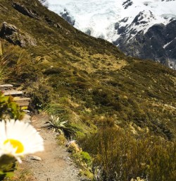 13. Winding up Sealy Tarns Track