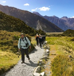 13. Group walking Sealy Tarns Track