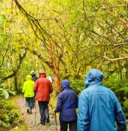 13. Guests walking Routeburn Track