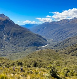 13. Routeburn Track Valley view