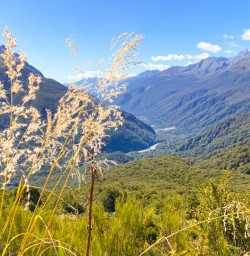 13. Routeburn Valley views