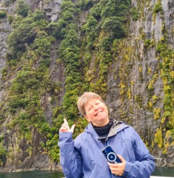 13. Solo guest Milford Cruise
