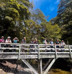 Hike the Kepler Track 18 November 2024 2