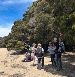 Hike the Kepler Track 18 November 2024 4
