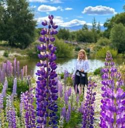 Lupins