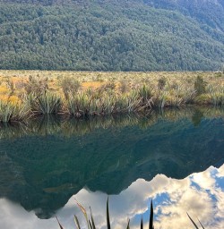 Mirror lakes in Fiordland National Park