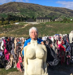 Cardrona Bra Fence, Otago New Zealand