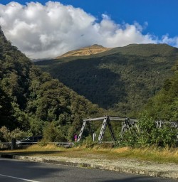 Fox Glacier, West Coast New Zealand