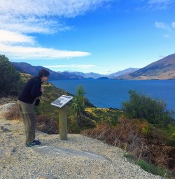 Lake Wanaka Lookout