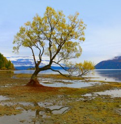 14 lake wanaka otago new zealand