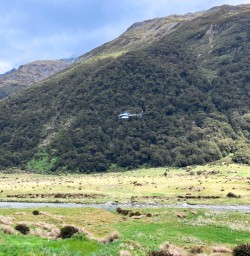 Mount Aspiring National Park walking tours 