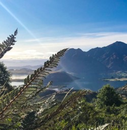 Views of Lake Wanaka