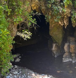 140125 Waitomo Caves