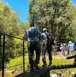 140125 guests on bridge in Waitomo Caves