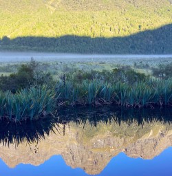 Crazy reflections in Fiordland