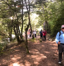 14. Guests on Mt Crichton Loop Track