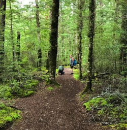 14. Kepler Track
