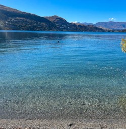 Queenstown walking tours 