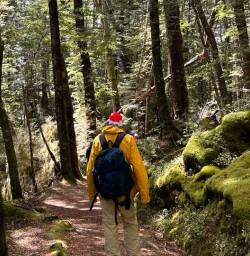 Kepler track new zealand