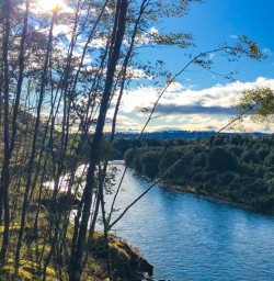 Waiau River