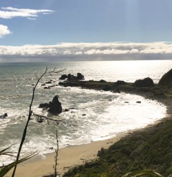 16. Cape Foulwind